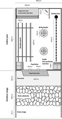 Rearing Enrichments Affected Ranging Behavior in Free-Range Laying Hens